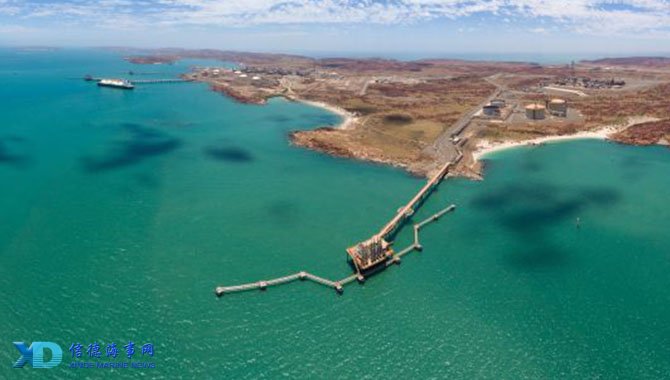 体现出X因 体现出X因