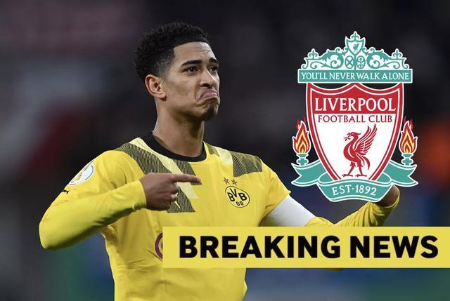 不要在它抬 不要在它抬