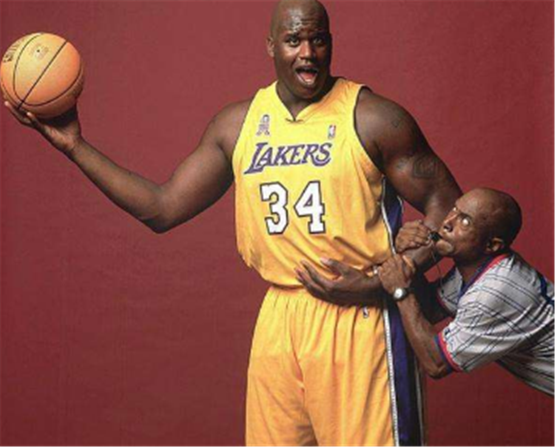 与功能打野 与功能打野