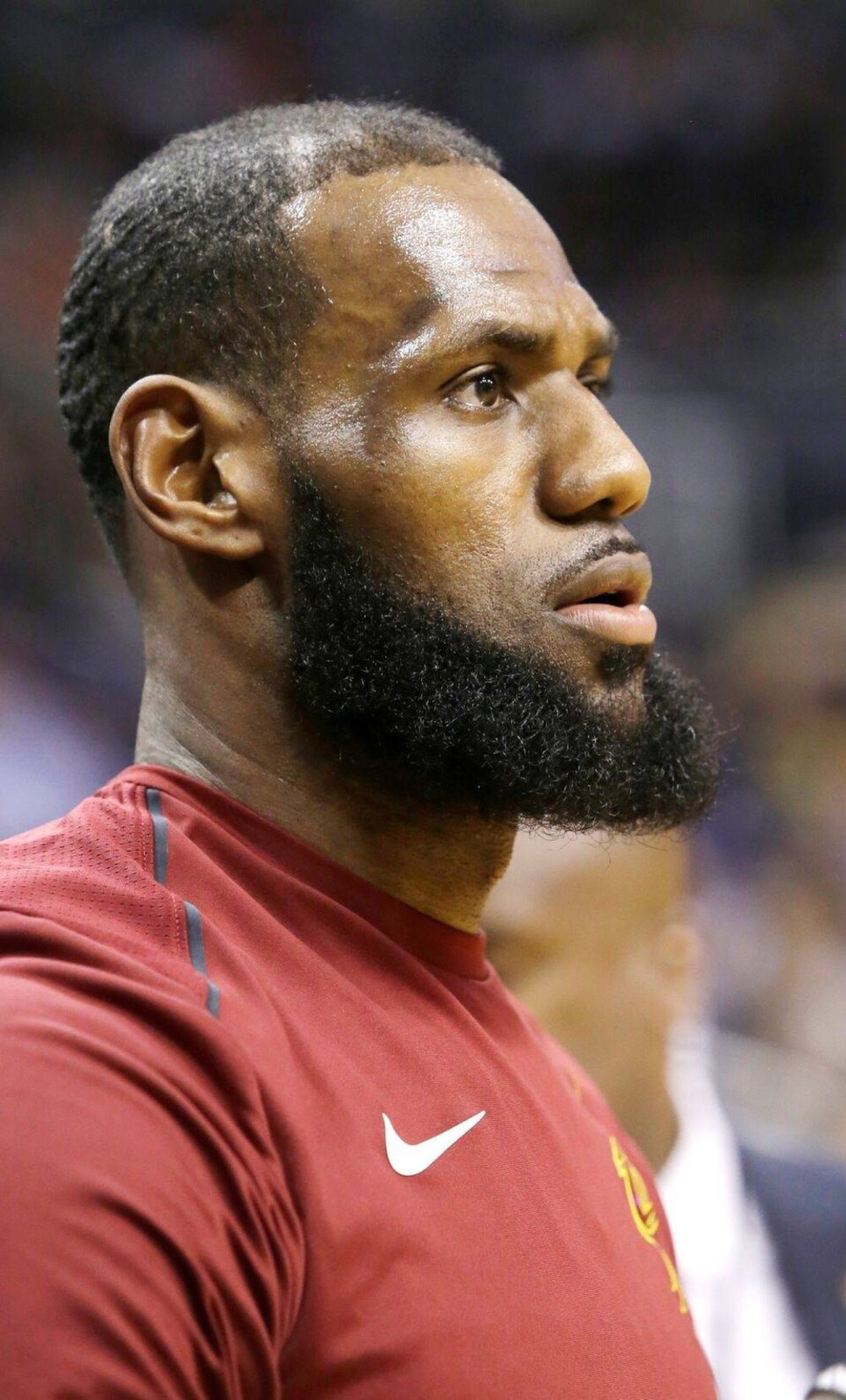 剧情支线解 剧情支线解